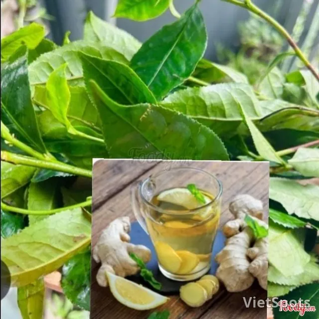 生茶葉&生姜(直火で煮出したホット)