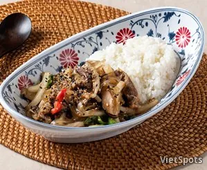 烤肉雜菜蓋飯
