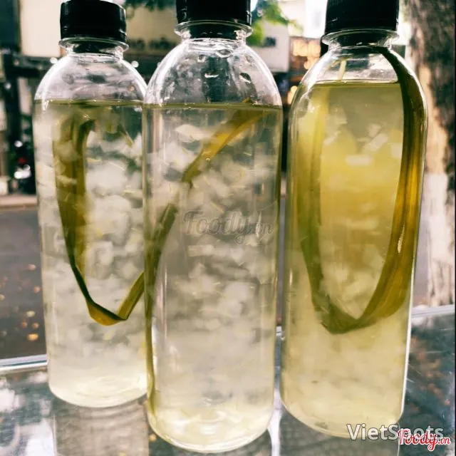 Aloe vera with rock sugar