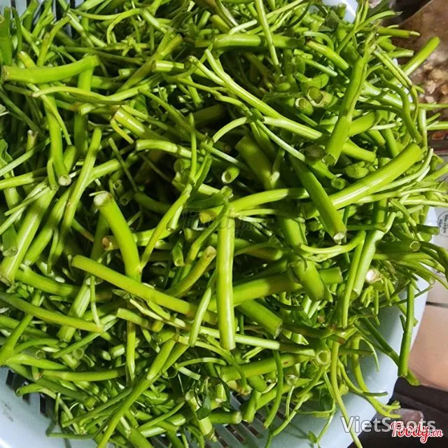 Stir-Fried Water Spinach with Garlic Fish Sauce