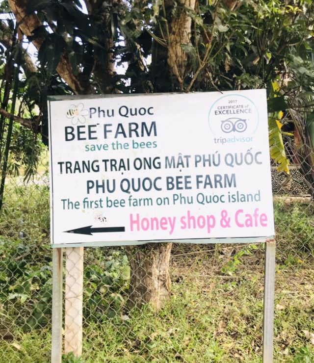 Trang trại mật ong ở Phú Quốc (Ho bút)