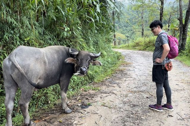 Hành trình đến Hoàng Su Phì (đến những ruộng bậc thang của Việt Nam) 9 — Sức hấp dẫn của trekking