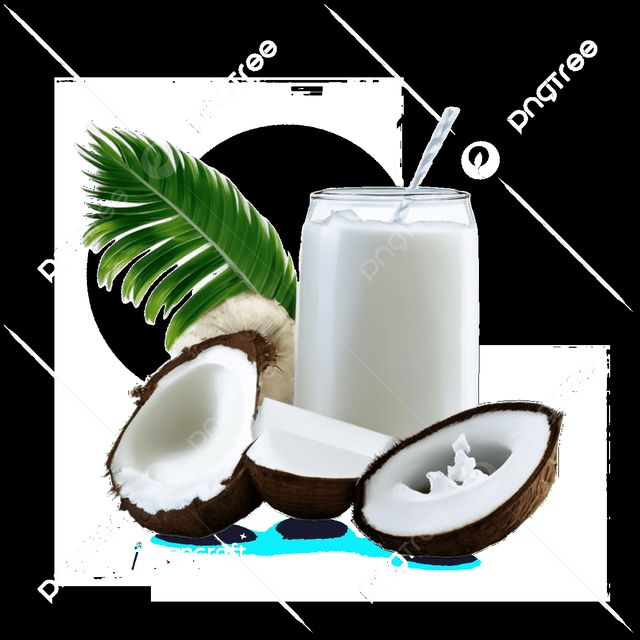 Sữa Dừa Tota