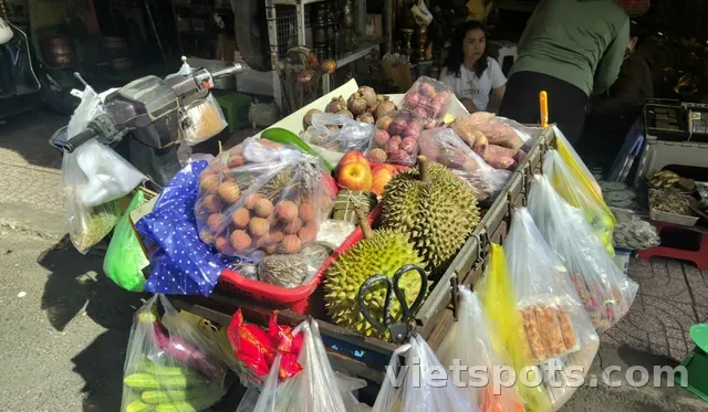 Cuộc sống định cư tại Việt Nam | Có nên học tiếng Việt không? Sự cần thiết trong cuộc sống và công việc