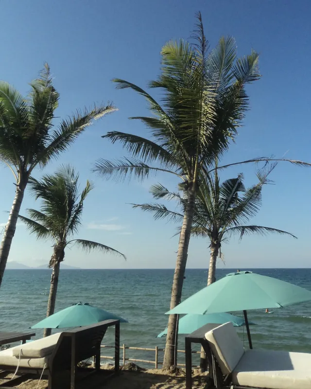 Quán cà phê siêu chill ở Hội An nè~~