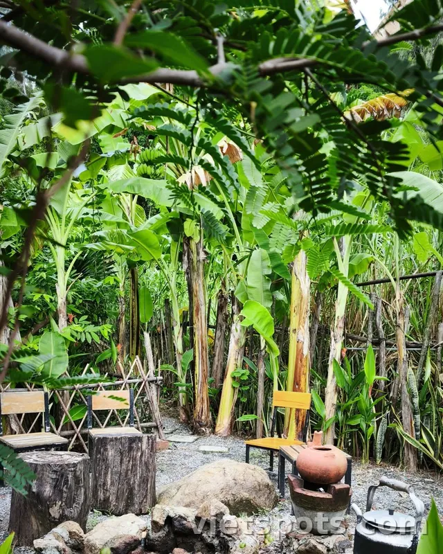 🌿 OM Tea & Coffee – A green tea corner at the foot of Son Tra mountain