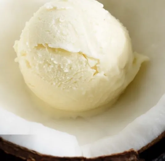 Coconut Ice Cream