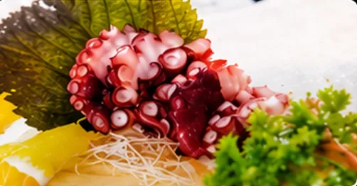 Sashimi Bạch Tuộc