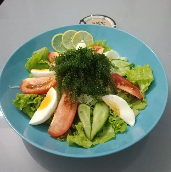 Salad rau xanh