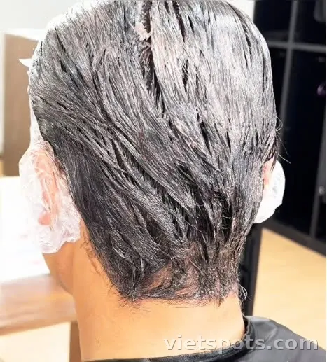 베이직 그레이 커버 염색