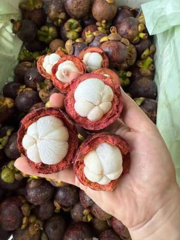 Măng Cụt (500g)