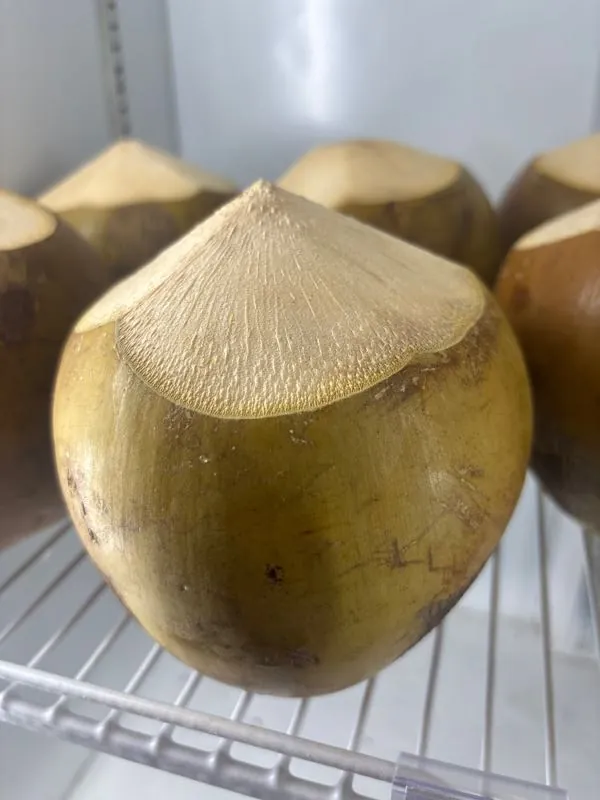 Dừa Tươi