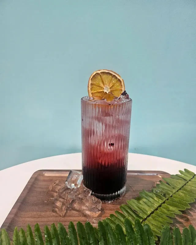 Soda việt quất 500ml