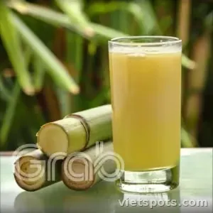 5 Nước Mía (lưu ý bán từ 8h-21h)