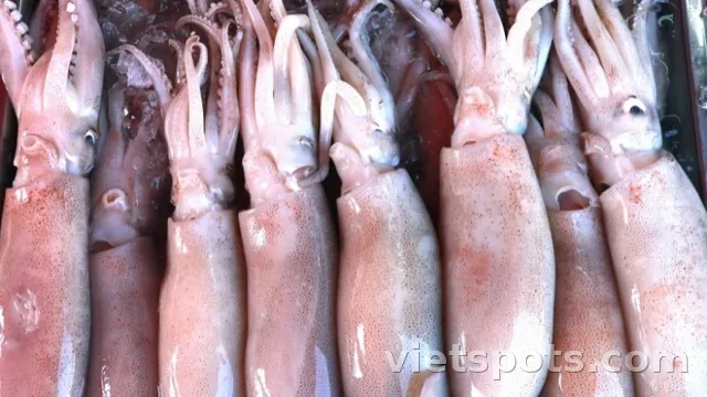 Mực cơm