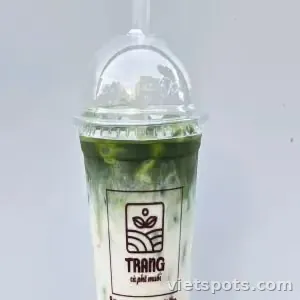Matcha Sữa Gấu