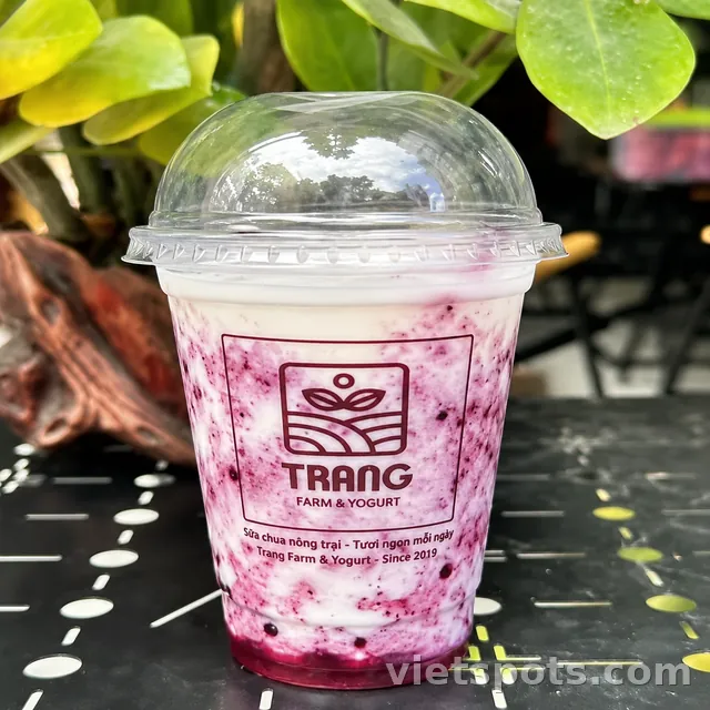 Sữa Chua Vị Dâu Tằm