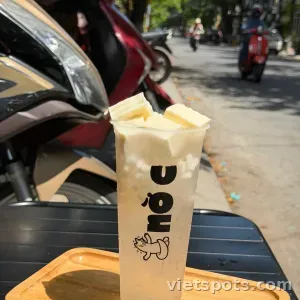 Nước Dừa Trân Châu Dừa Phomai Tươi