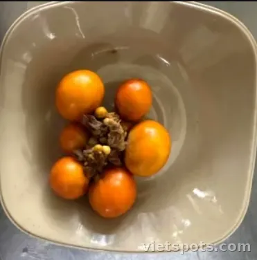 Trứng non