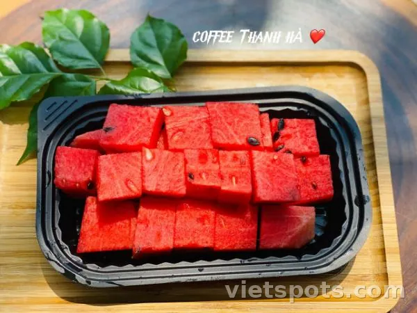 Dưa hấu