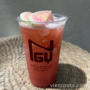 Kombucha ổi hồng