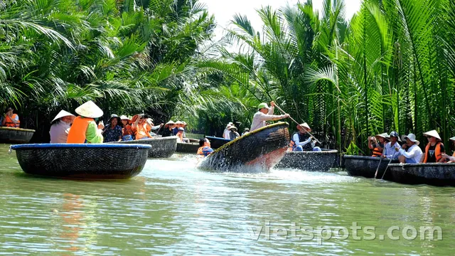 Tour Rừng Dừa Bảy Mẫu