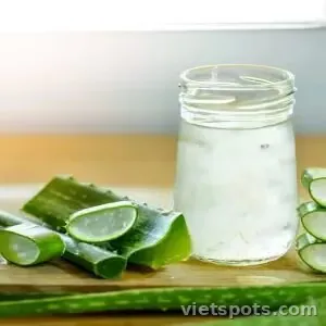 Nha đam mũ trôm