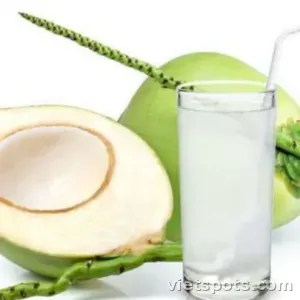 Nước Dừa Trân Châu Trắng