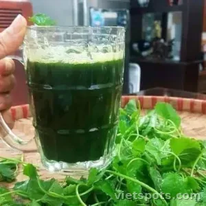 Rau má nguyên chất (centella) ly 500ml