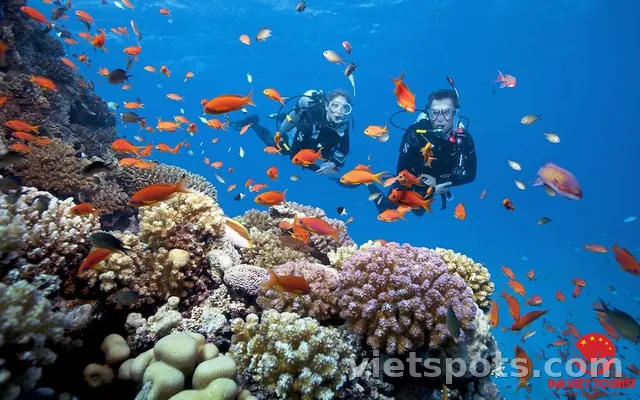 Tour Cù Lao Chàm (đón tại cảng)