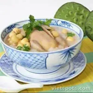 Cháo bồ câu - lớn