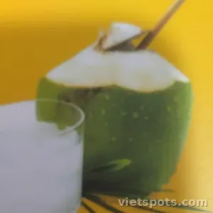 Nước Dừa Trái