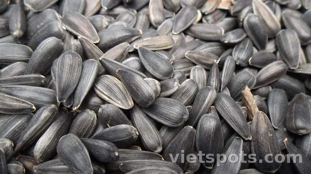 Hạt Hướng Dương