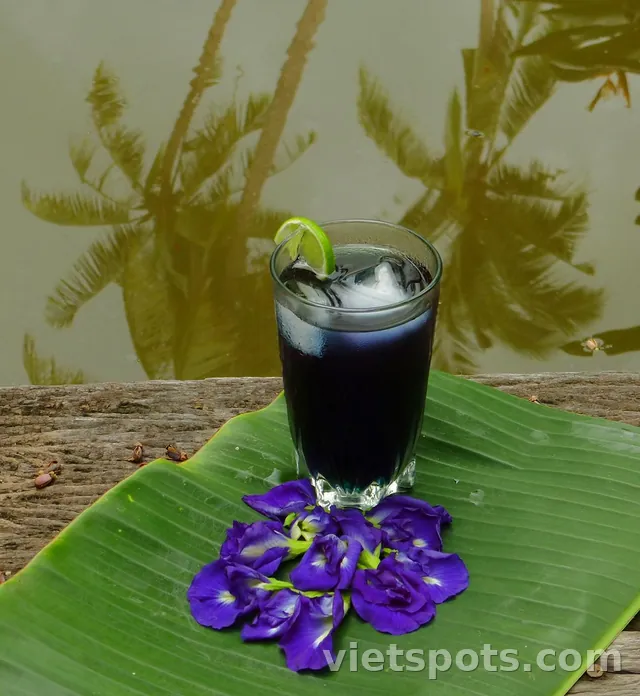 Trà Hoa Đậu Biếc