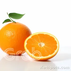 Cam Vắt