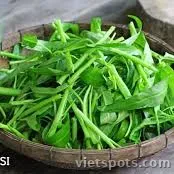 Rau nhúng lẩu