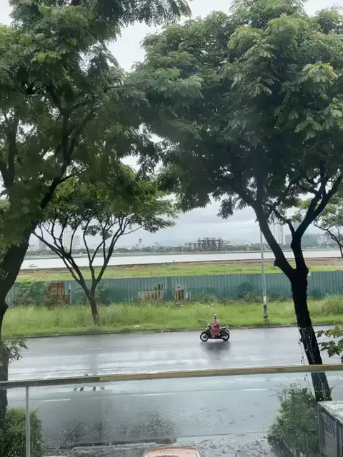 🌧️ 岘港下着寒冷的雨：懒人不想出门，可生活的洪流却从不偷懒地奔涌向前！